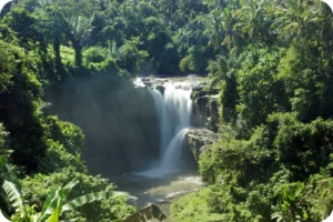 Read more about the article 7 Best Waterfalls in Ubud, Sri Lanka